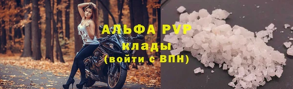 ГАЛЛЮЦИНОГЕННЫЕ ГРИБЫ Каменка