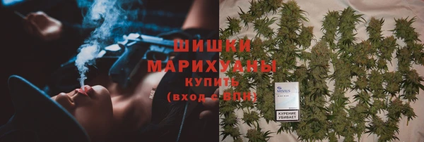 ГАЛЛЮЦИНОГЕННЫЕ ГРИБЫ Каменка