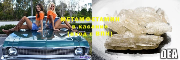 ГАЛЛЮЦИНОГЕННЫЕ ГРИБЫ Каменка