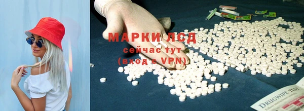 ГАЛЛЮЦИНОГЕННЫЕ ГРИБЫ Каменка